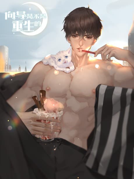 A Guide to Reincarnation cover