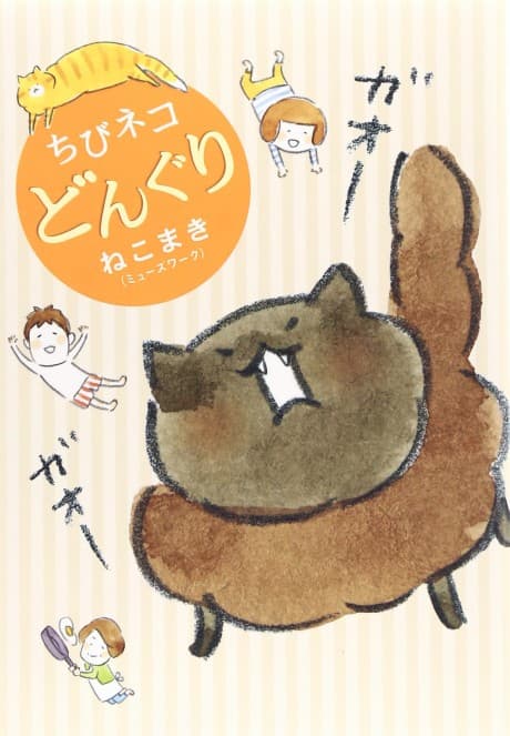 Acorn the Kitty Cat cover