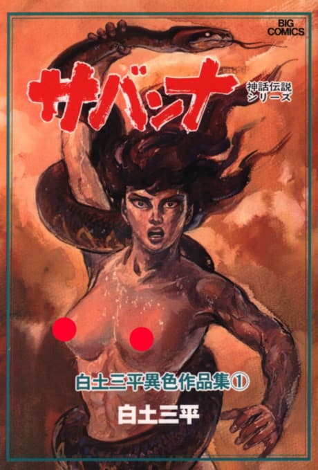 Savanna cover