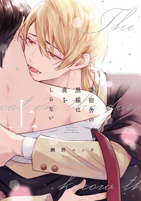 The Black Cat & the Vampire cover