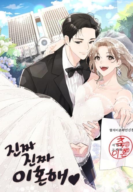 Let's Get Divorced! cover