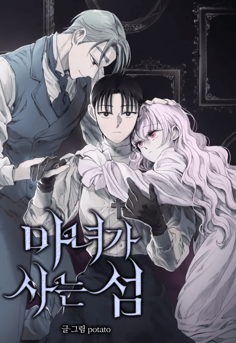 Witch's Island cover