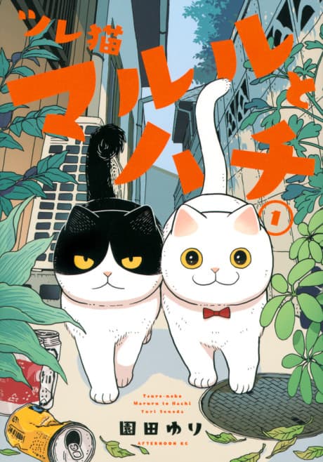 Cat Companions Maruru and Hachi cover