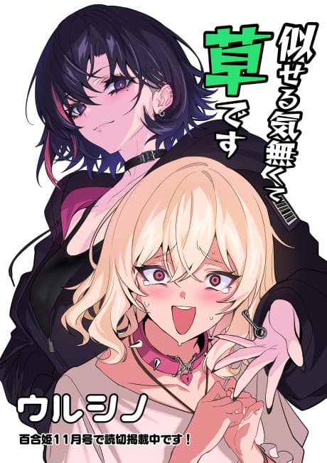 Niseru Ki Nakute Kusadesu cover