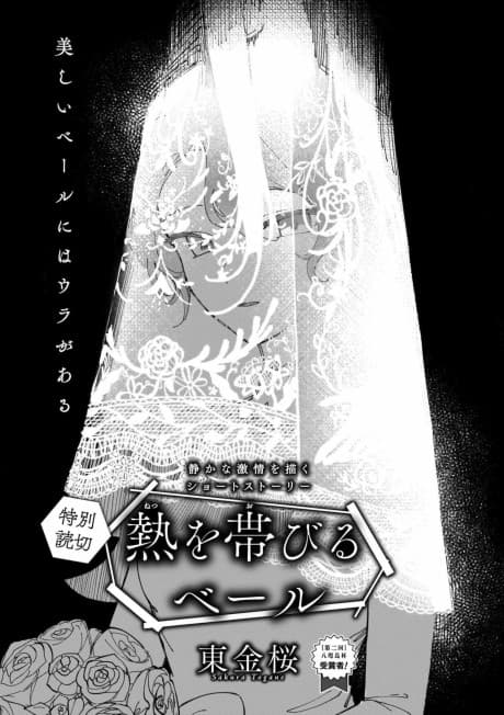 Netsu wo Obiru Veil cover