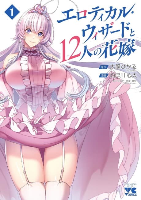 The Erotical Wizard and His Twelve Brides cover