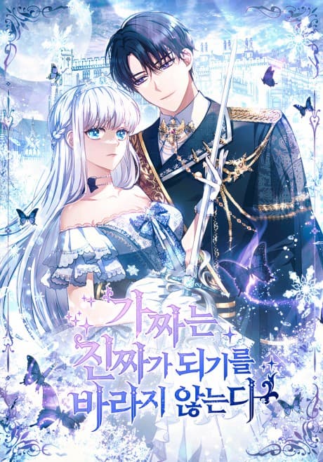 The Fake Lady of House Silkisia cover