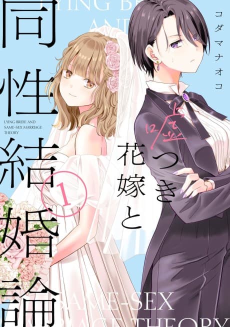 The Lying Bride and the Same-Sex Marriage Debate cover