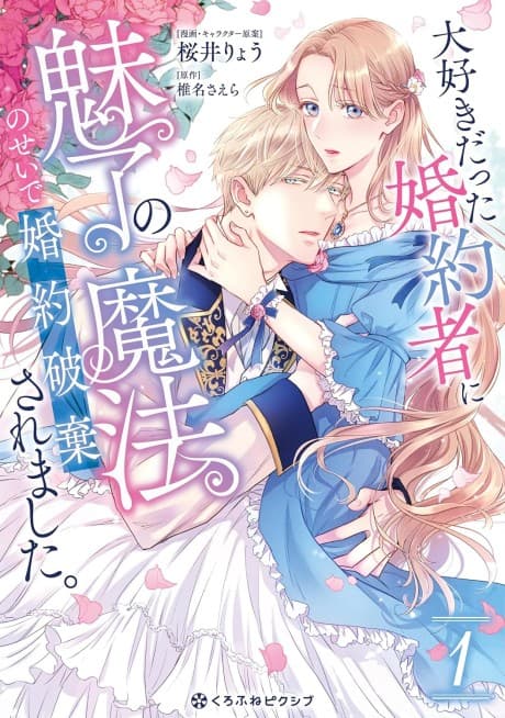 Broken Betrothal: My Beloved Was Bewitched cover