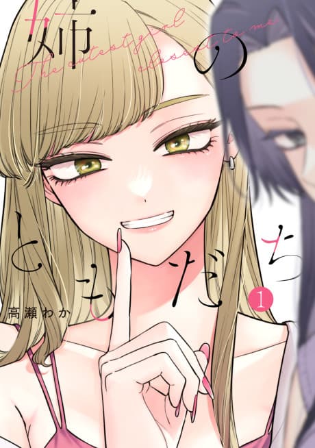 Ane no Tomodachi  cover
