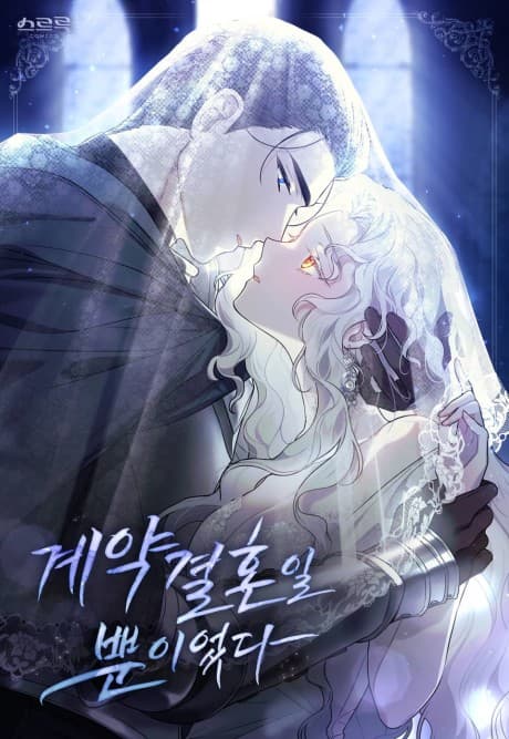 It Was Just a Contractual Marriage cover