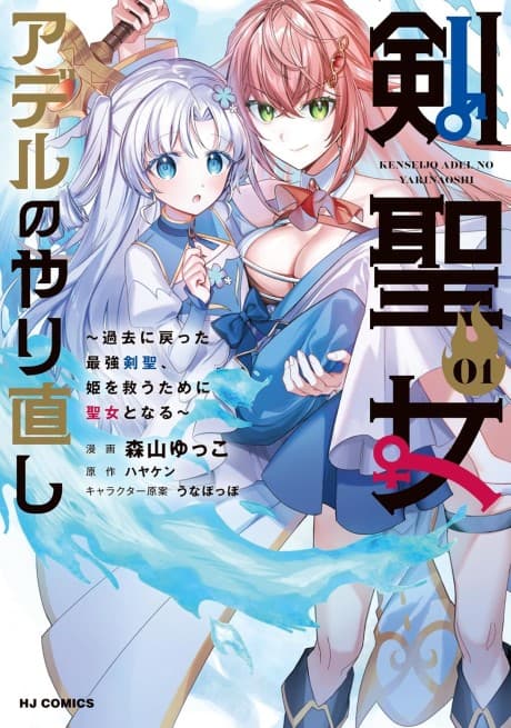 Tsurugi Seijo Adel no Yarinaoshi cover