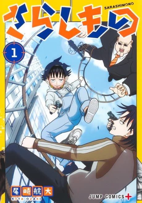 Fool cover