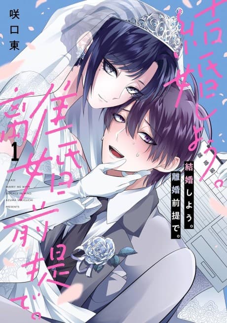 Kekkon Shiyou. Rikon Zentei de. cover