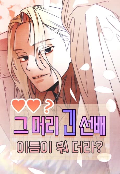 Who’s That Long-Haired Senior? cover