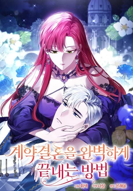 Ending This Marriage for Your Happiness cover
