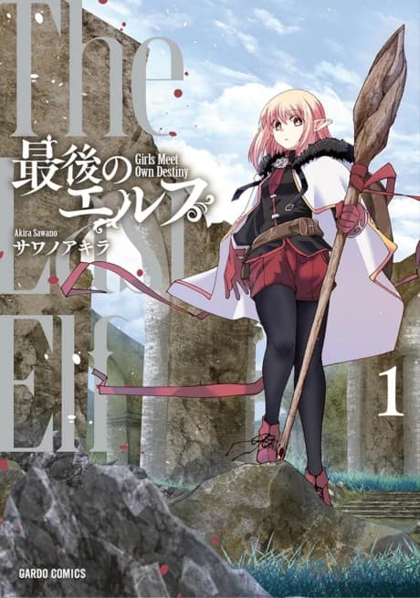 The Last Elf cover
