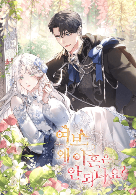 Darling, Why Can't We Divorce? cover