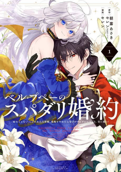 The Princess Groom cover