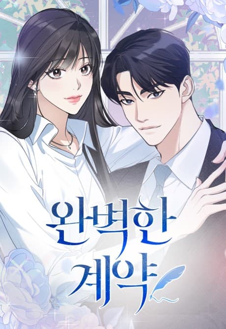 The Perfect Contract cover