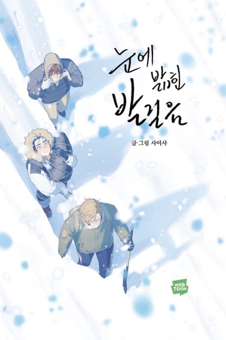 Footsteps in the Snow cover