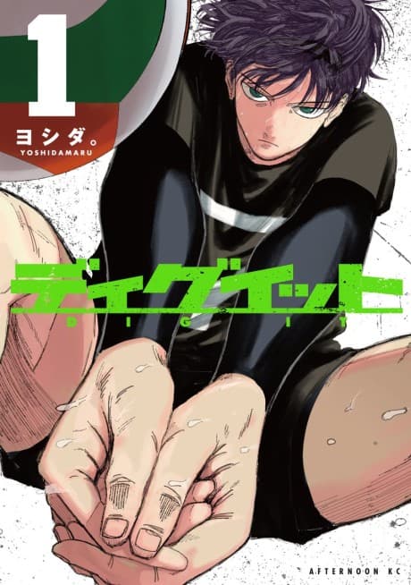 DIG IT cover