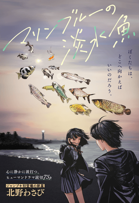 Marine Blue Fish cover