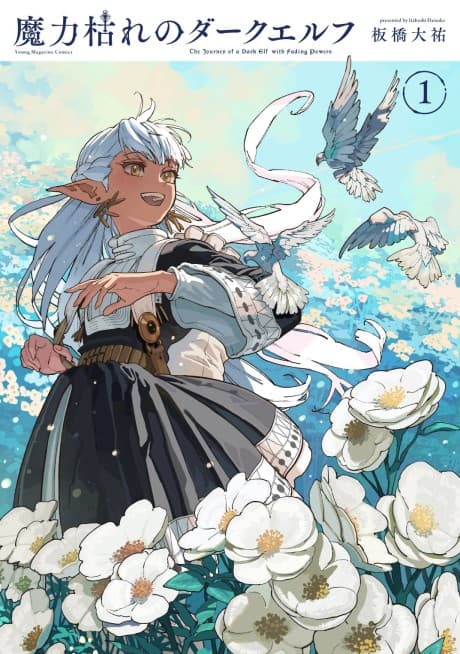 The Journey of a Dark Elf with Fading Powers cover