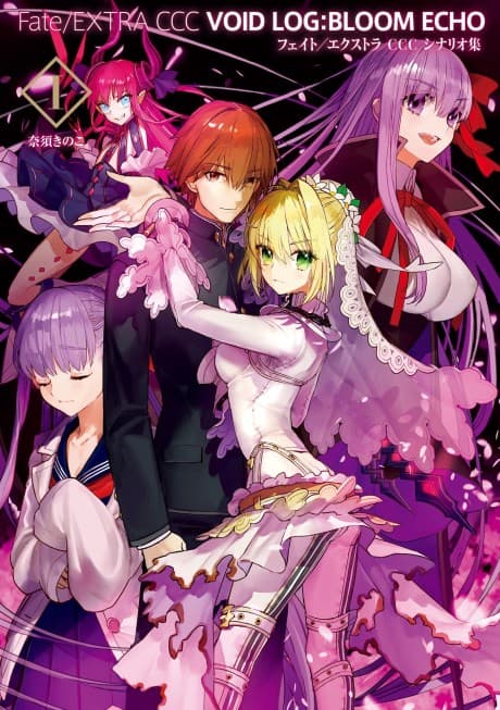 Fate/EXTRA CCC: VOID LOG:BLOOM ECHO cover
