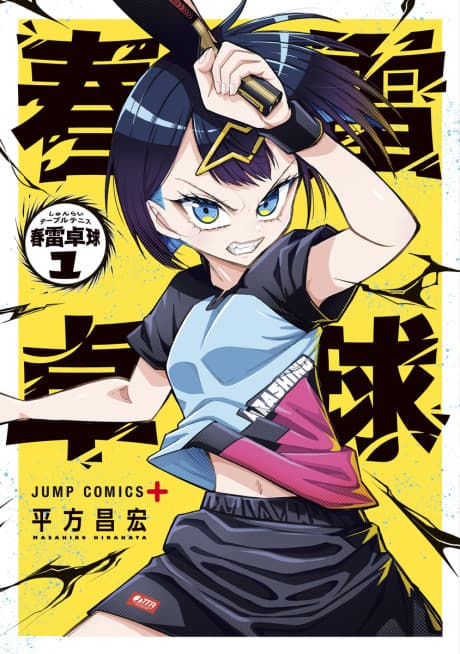 Shunrai Table Tennis cover