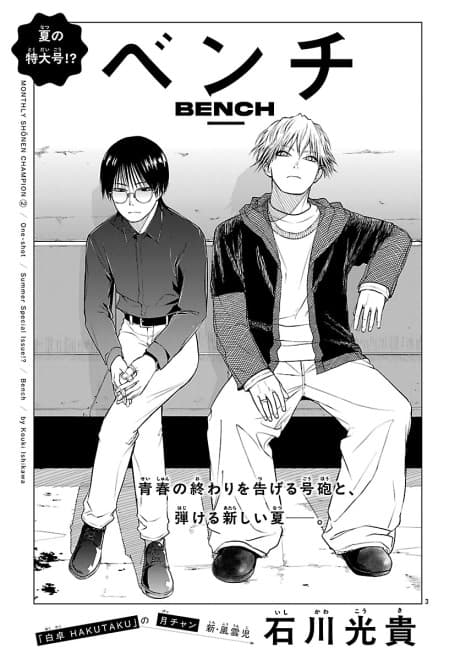 Bench cover