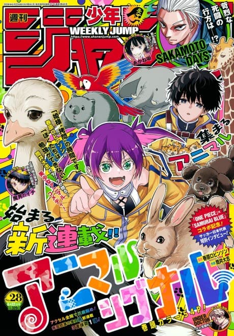 Animal Signal cover