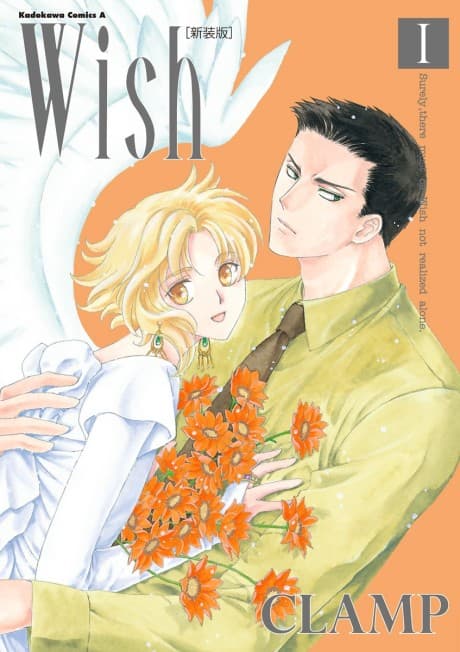 Wish cover