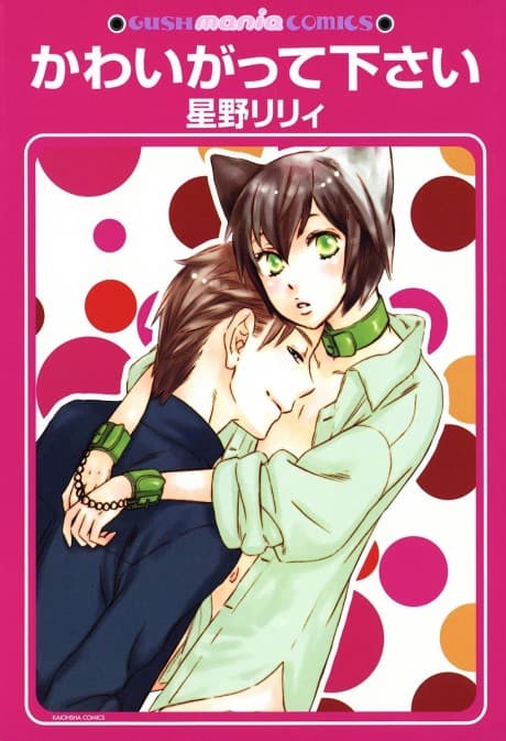 Kawaigatte Kudasai cover