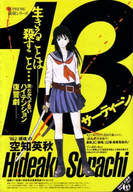 13 cover