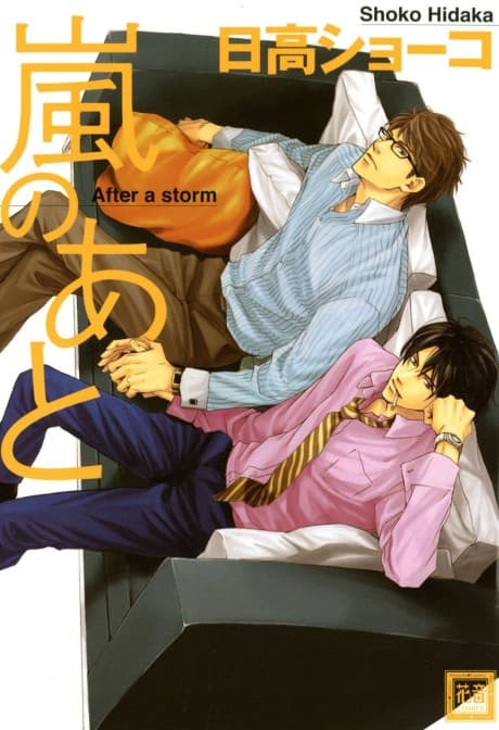 After the Storm cover