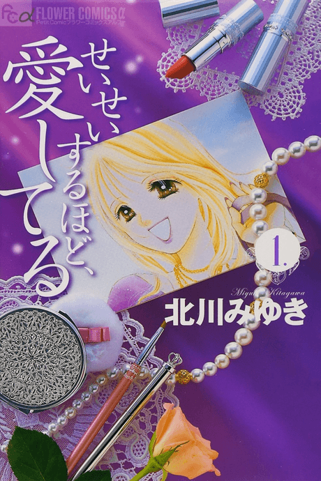Seisei Suruhodo, Aishiteru cover