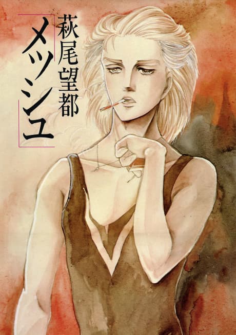 Mesh cover