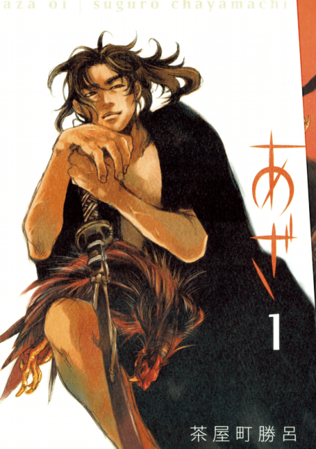 Aza cover