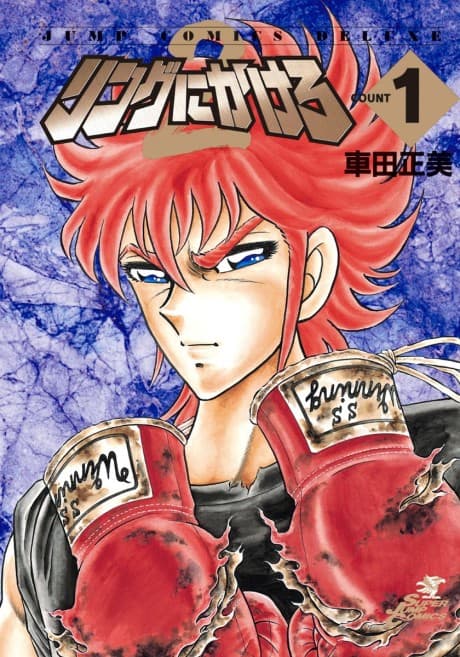 Ring ni Kakero 2 cover
