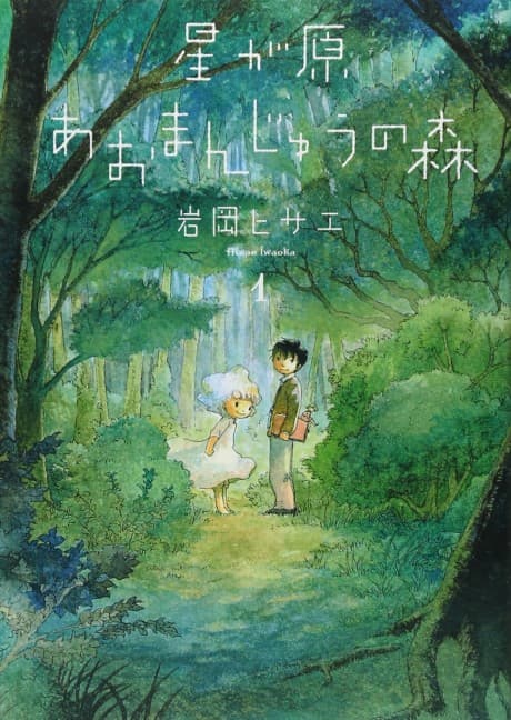 The Magical Forest of Hoshigahara cover