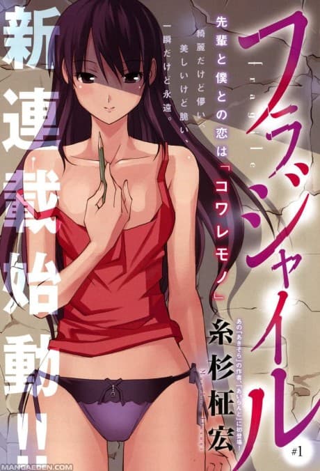 Fragile cover
