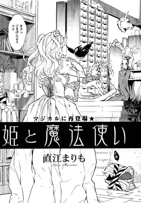 Princess and the Witch cover