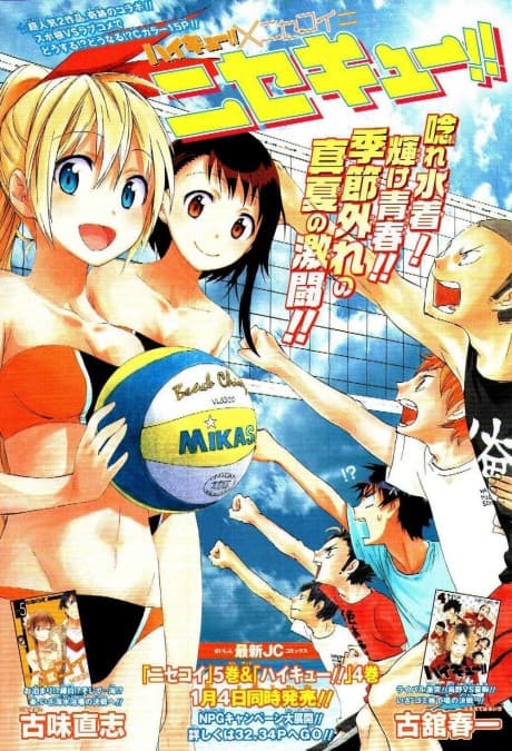 Nisekyu!! cover
