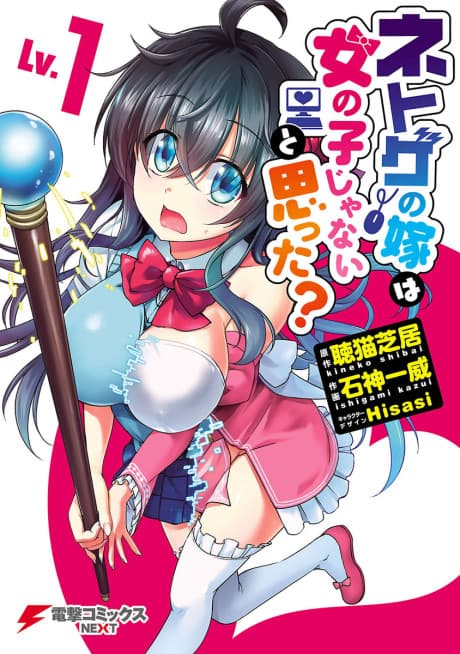 Netoge no Yome wa Onnanoko ja Nai to Omotta? cover