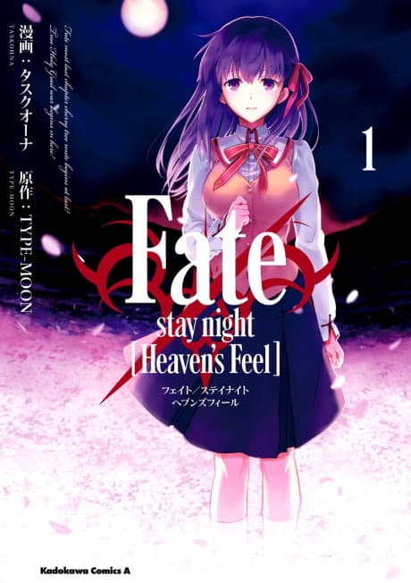 Fate/stay night [Heaven's Feel] cover