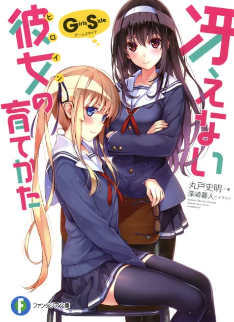 Saenai Heroine no Sodatekata: Girls Side cover