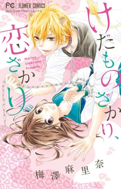 Kedamonozakari, Koizakari cover