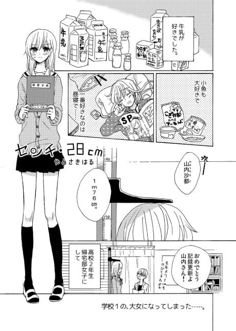 Centimeter 28 cm cover