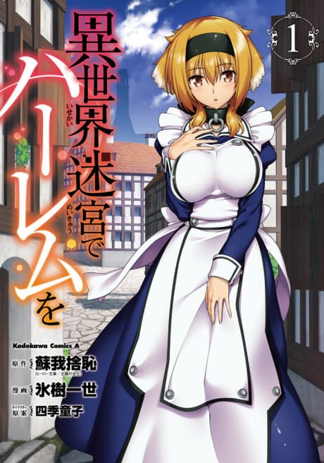 Isekai Meikyuu de Harem wo cover